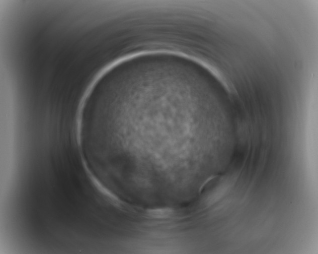 X0000092101535200709262132