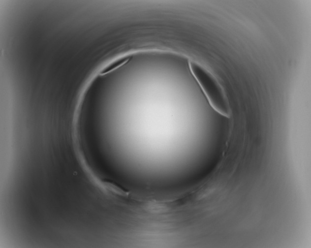 X0000092101536200709262132