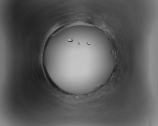 X0000092100003200710031220