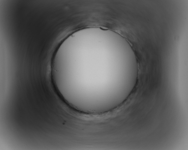 X0000092100005200710031220