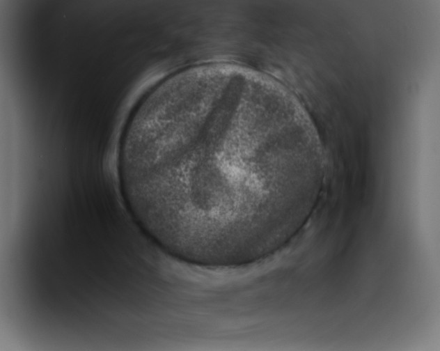 X0000092100006200710031220