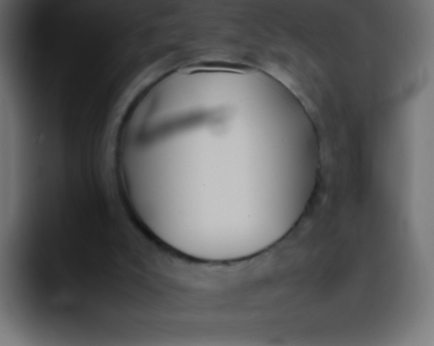 X0000092100007200710031220