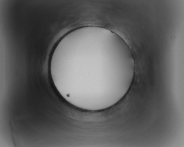 X0000092100008200710031220