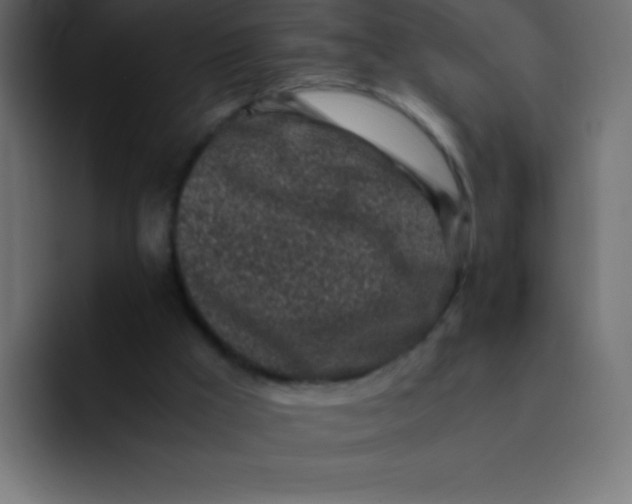 X0000092100009200710031220