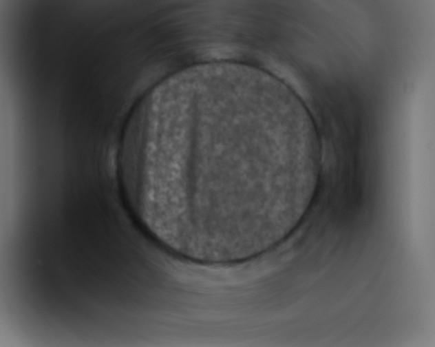 X0000092100010200710031220