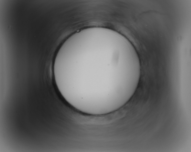 X0000092100011200710031220