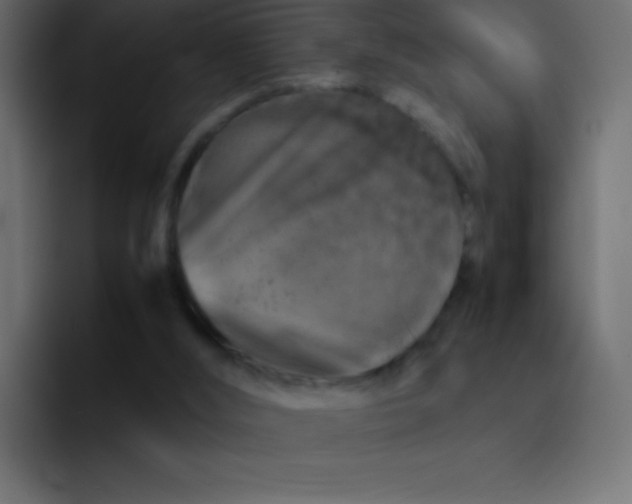 X0000092100012200710031220