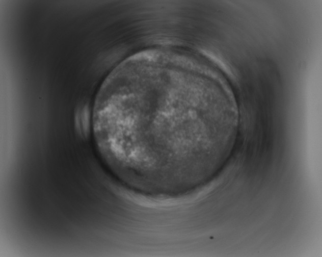 X0000092100014200710031220