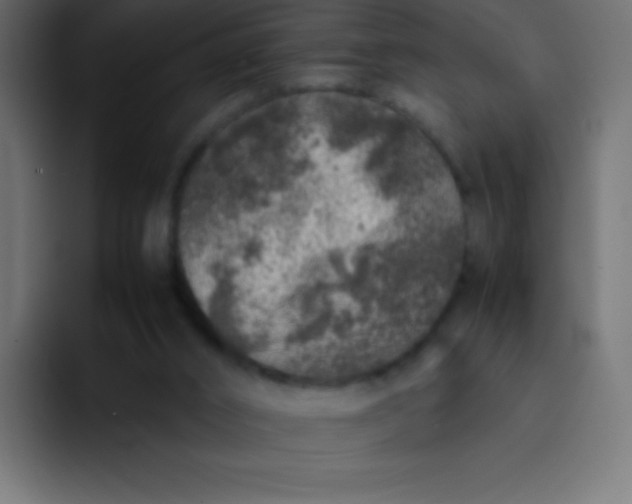 X0000092100016200710031220