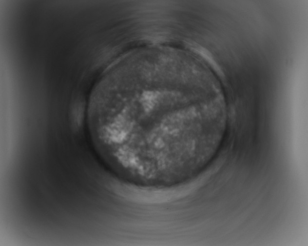 X0000092100018200710031220