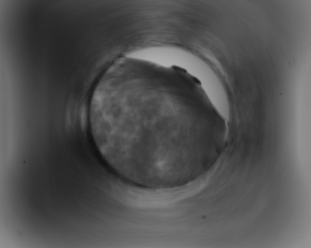 X0000092100019200710031220