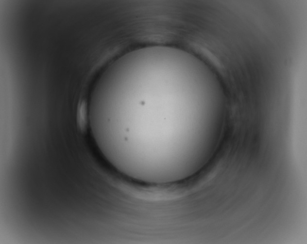 X0000092100020200710031220