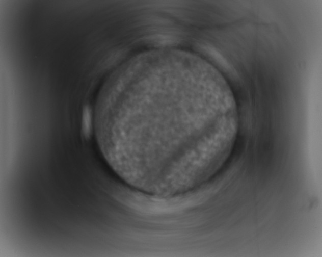 X0000092100022200710031220