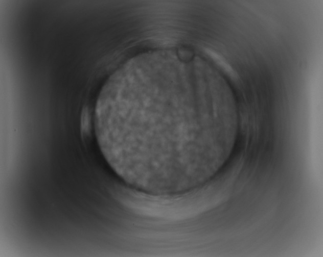 X0000092100026200710031220