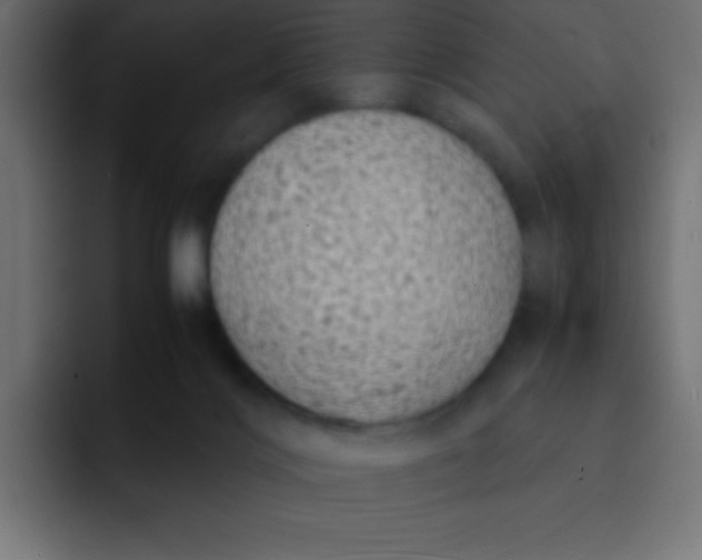 X0000092100028200710031220