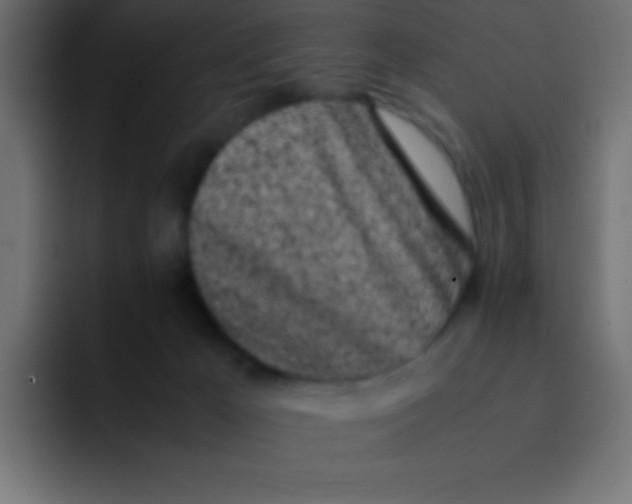 X0000092100029200710031220