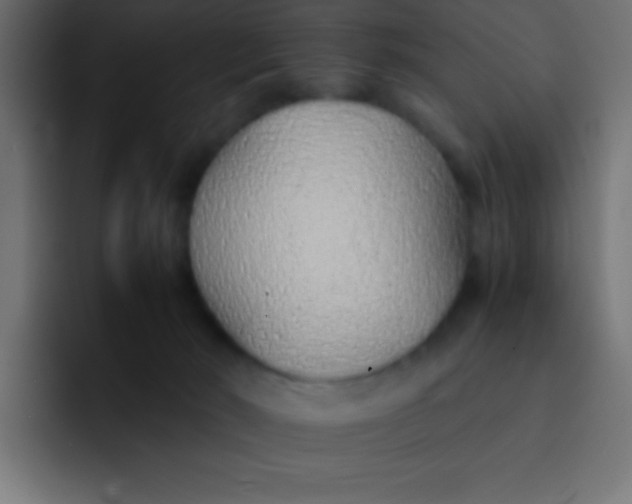 X0000092100030200710031220