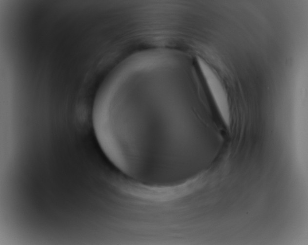 X0000092100031200710031220