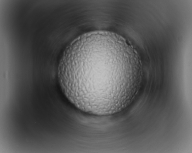 X0000092100032200710031220