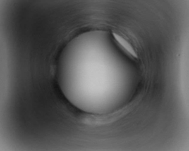 X0000092100033200710031220