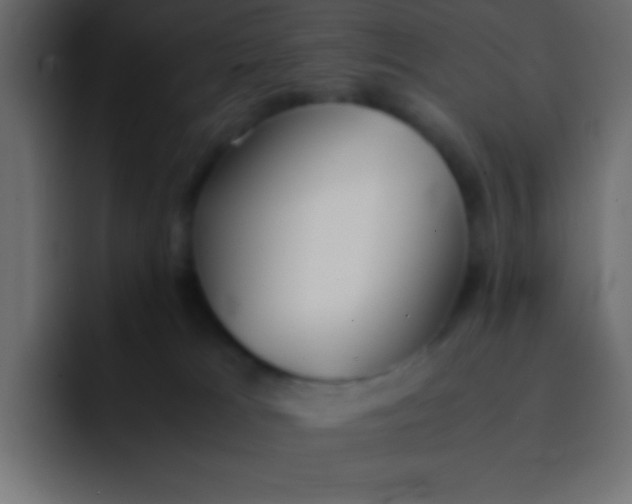 X0000092100037200710031220