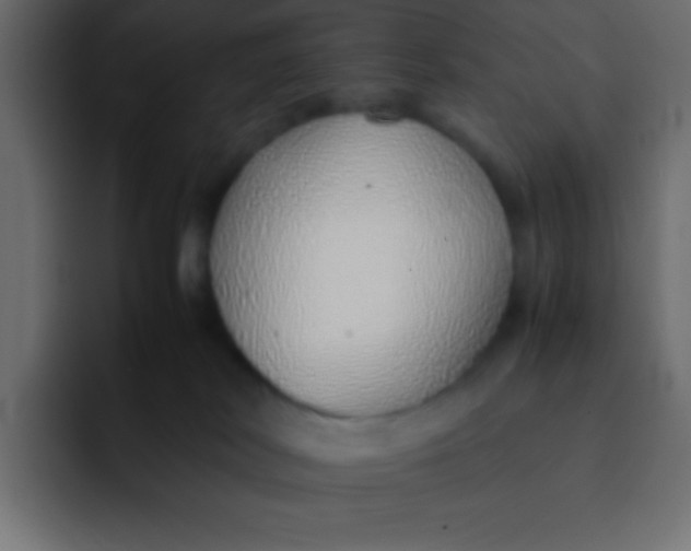 X0000092100038200710031220