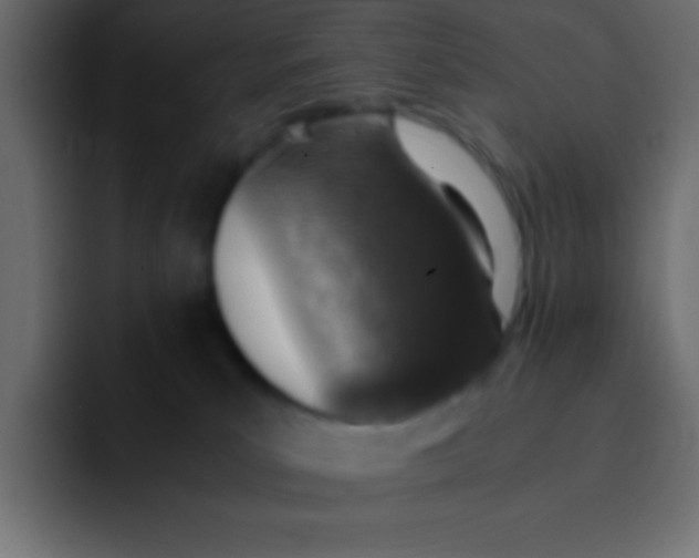 X0000092100039200710031220