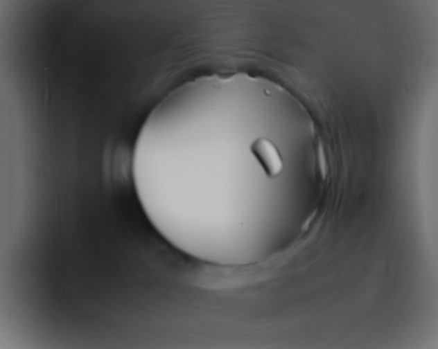 X0000092100041200710031220