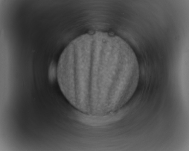 X0000092100042200710031220