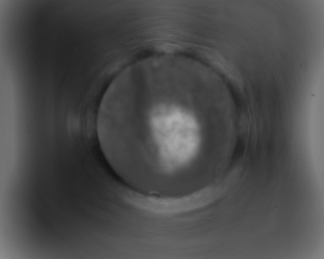 X0000092100043200710031220