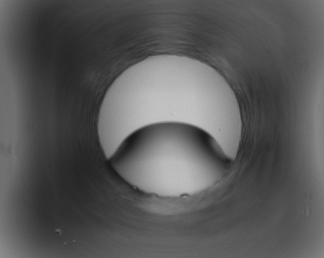 X0000092100045200710031220