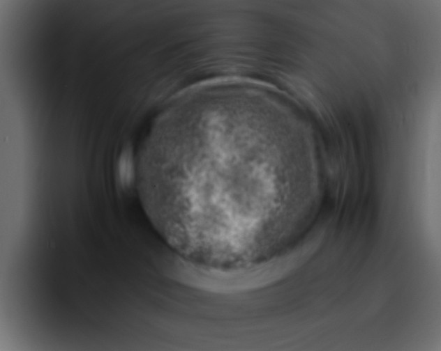 X0000092100046200710031220