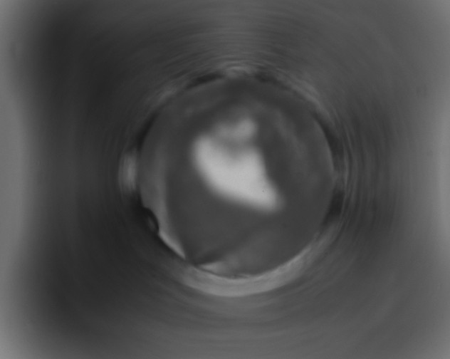 X0000092100047200710031220