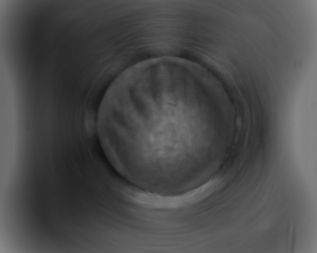 X0000092100048200710031220