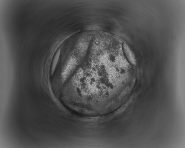 X0000092100049200710031219