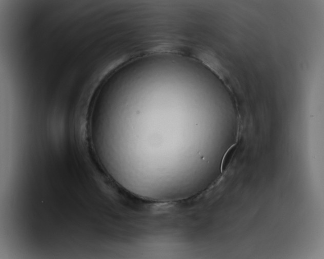 X0000092100050200710031219