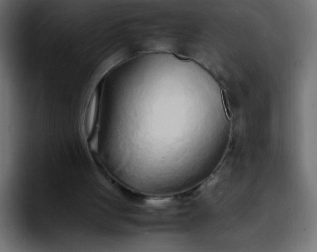 X0000092100051200710031219