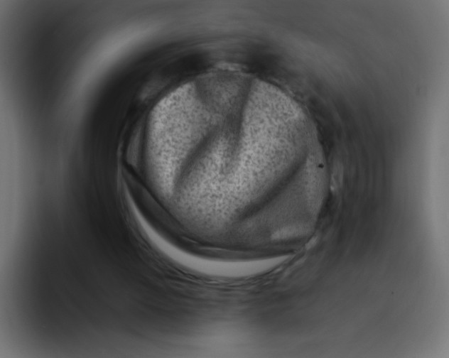 X0000092100052200710031219