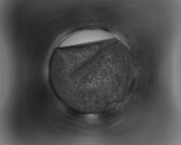 X0000092100053200710031219