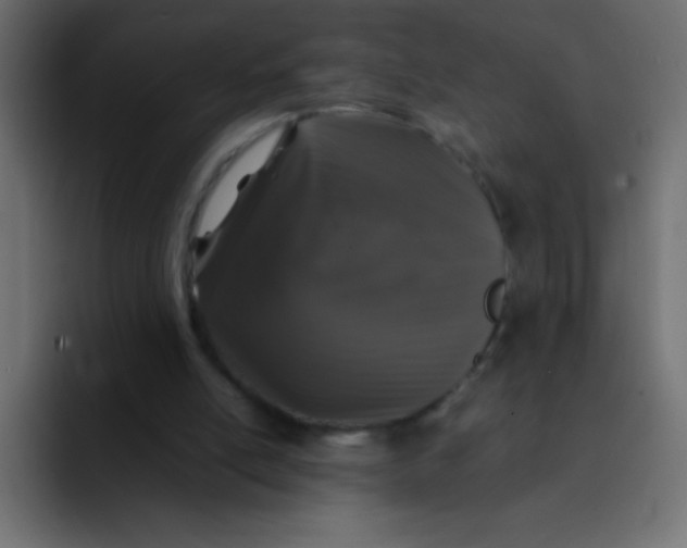 X0000092100054200710031219