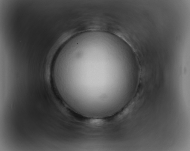 X0000092100055200710031219