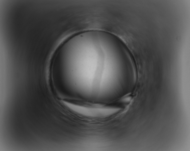 X0000092100056200710031219