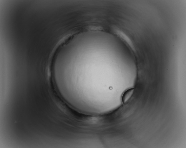 X0000092100059200710031219