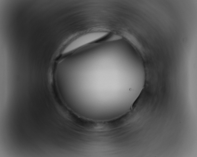 X0000092100060200710031219