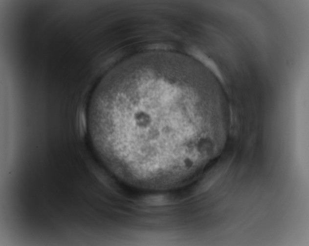 X0000092100061200710031219