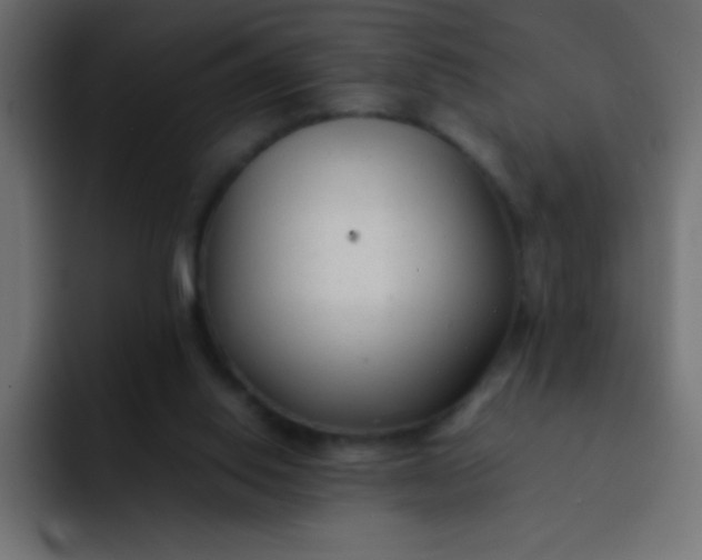 X0000092100062200710031219