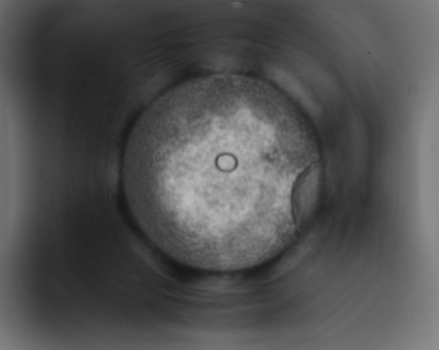 X0000092100065200710031220