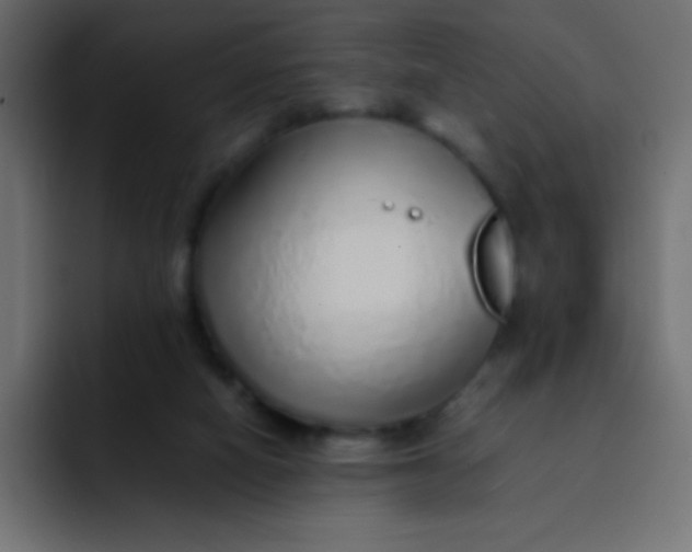 X0000092100066200710031220