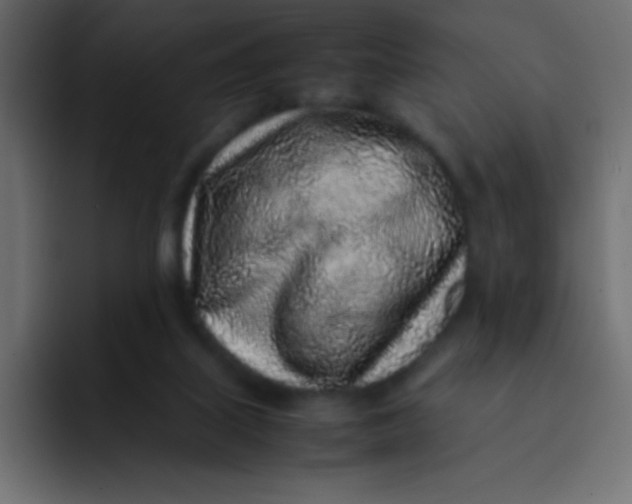 X0000092100067200710031220