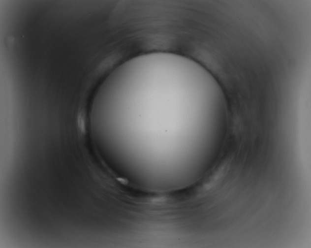 X0000092100068200710031220